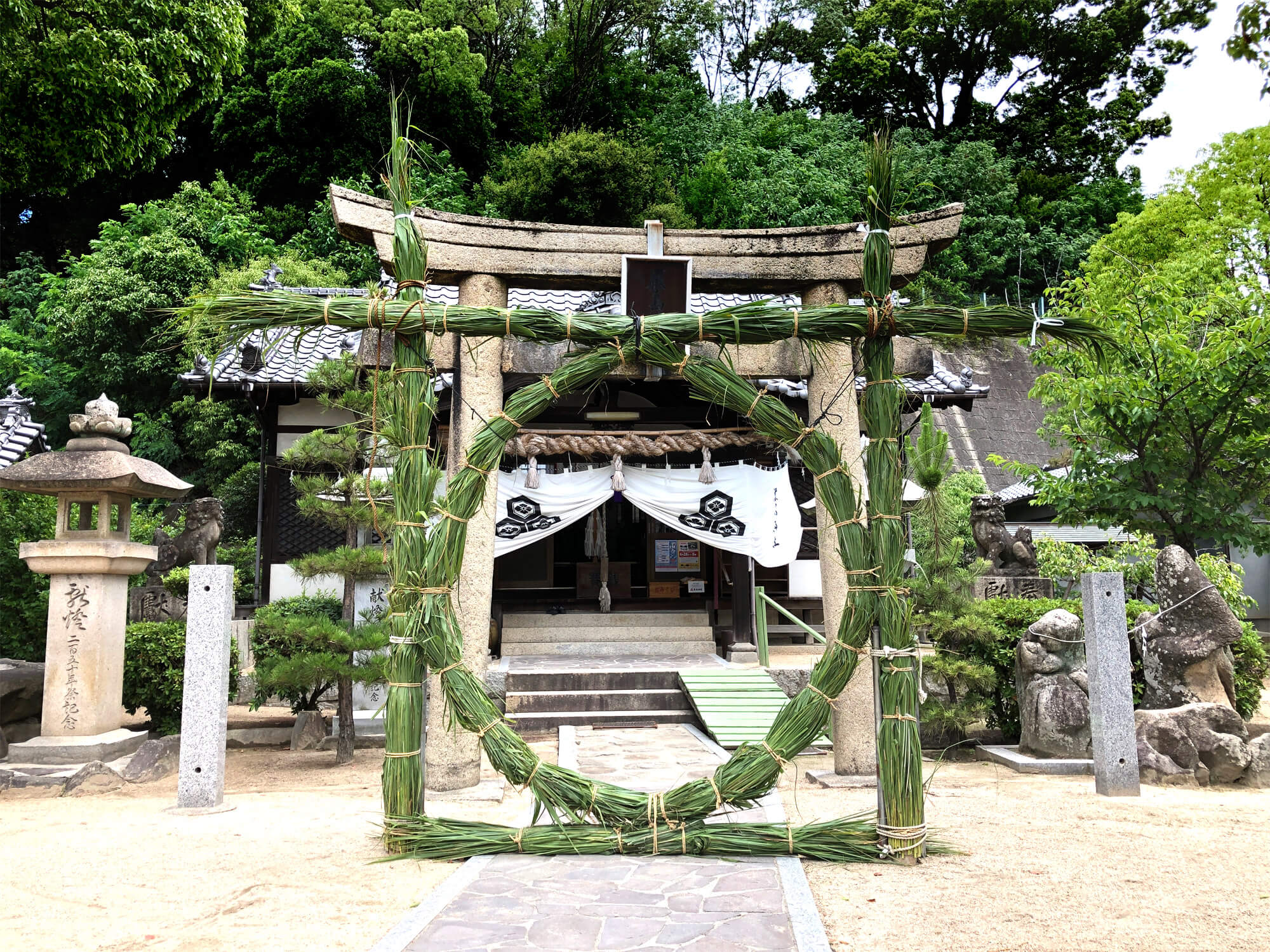 完成した茅の輪の写真 尾道・むかいしま 嚴島神社 茅の輪